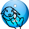 Information100.jpg (4156 byte)