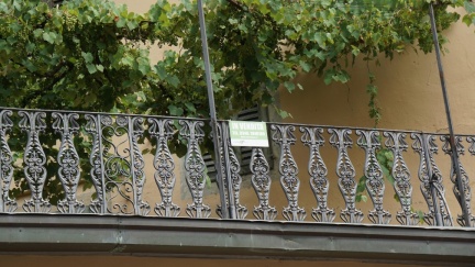 DSC09716