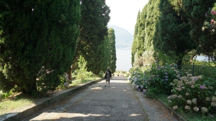 DSC09742
